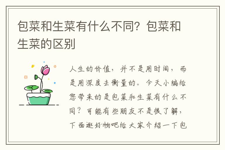 包菜和生菜有什么不同？包菜和生菜的区别