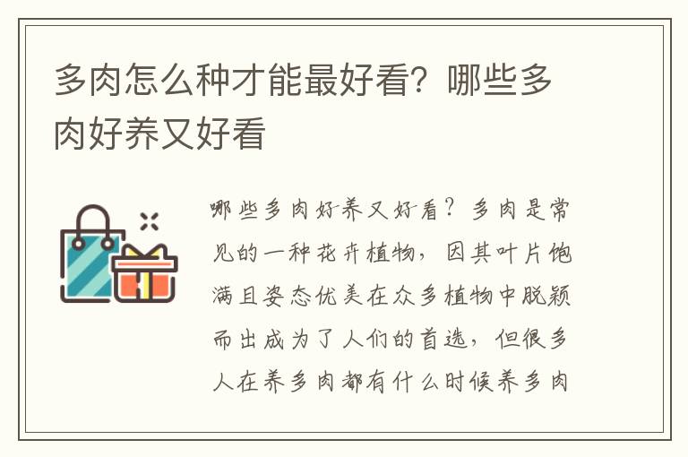 多肉怎么种才能最好看？哪些多肉好养又好看