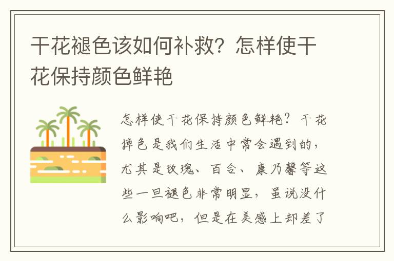 干花褪色该如何补救？怎样使干花保持颜色鲜艳