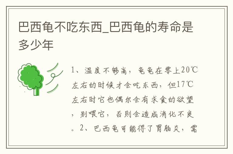 巴西龟不吃东西_巴西龟的寿命是多