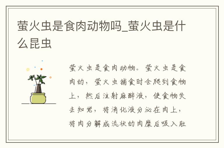萤火虫是食肉动物吗_萤火虫是什么昆虫