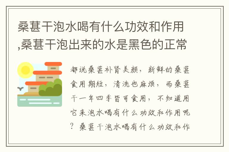 桑葚干泡水喝有什么功效和作用,桑