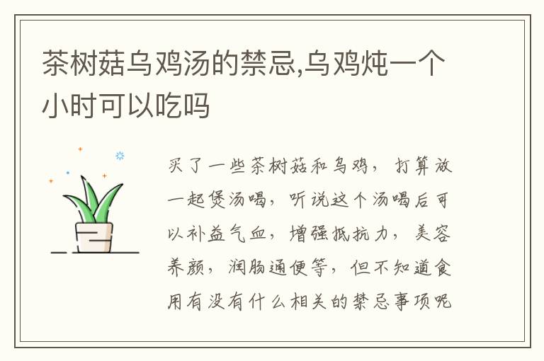 茶树菇乌鸡汤的禁忌,乌鸡炖一个小