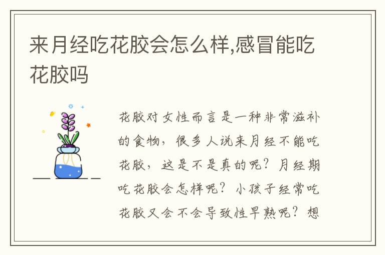 来月经吃花胶会怎么样,感冒能吃花胶吗