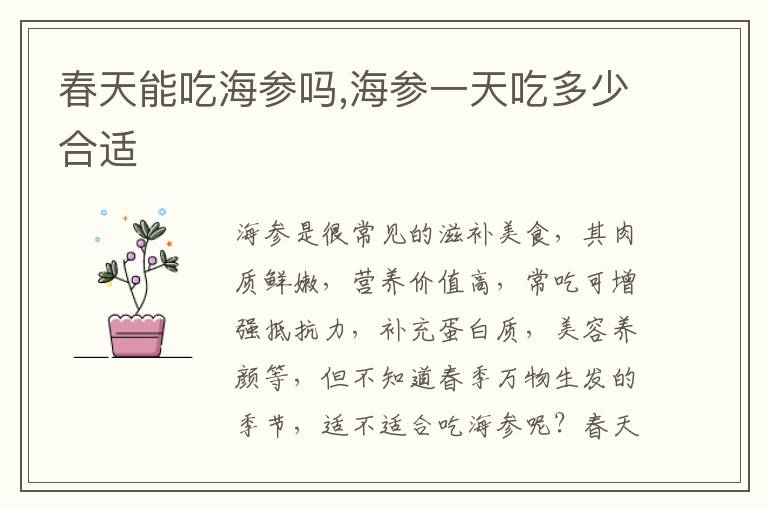 春天能吃海参吗,海参一天吃多少合