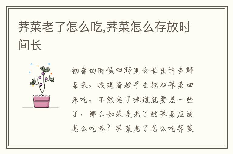 荠菜老了怎么吃,荠菜怎么存放时间长