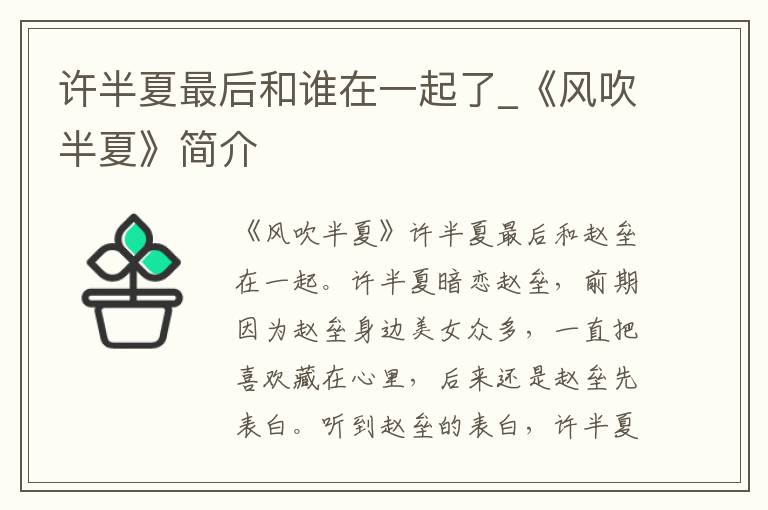 许半夏最后和谁在一起了_《风吹半夏》简介