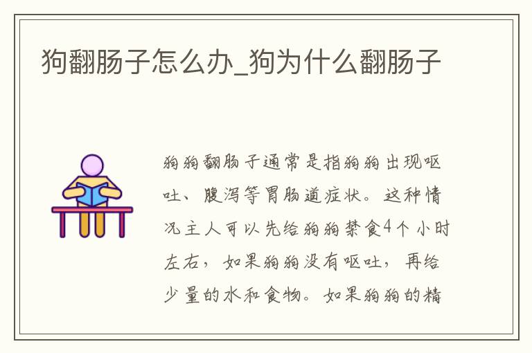 狗翻肠子怎么办_狗为什么翻肠子