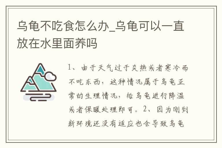 乌龟不吃食怎么办_乌龟可以一直放在水里面养吗