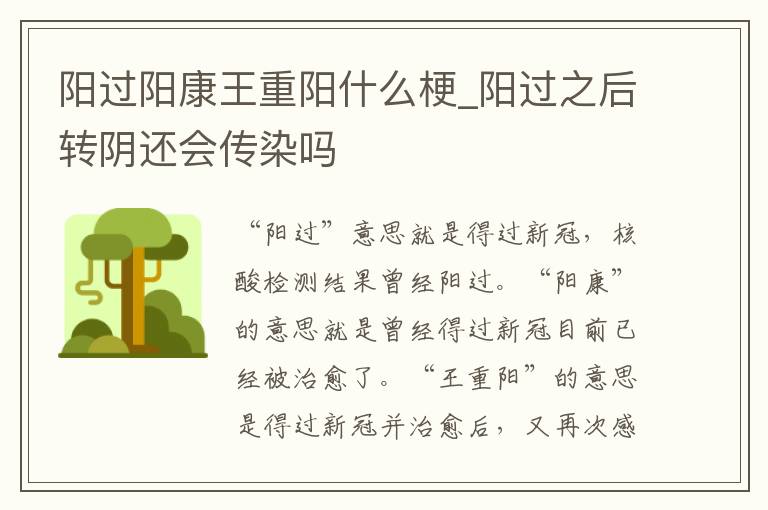 阳过阳康王重阳什么梗_阳过之后转阴还会传染吗