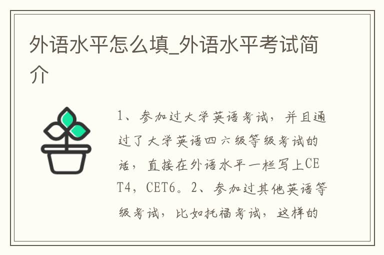 外语水平怎么填_外语水平考试简介