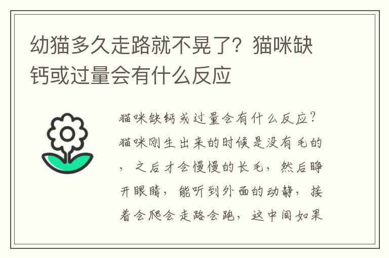 幼猫多久走路就不晃了？猫咪缺钙或过量会有什么反应