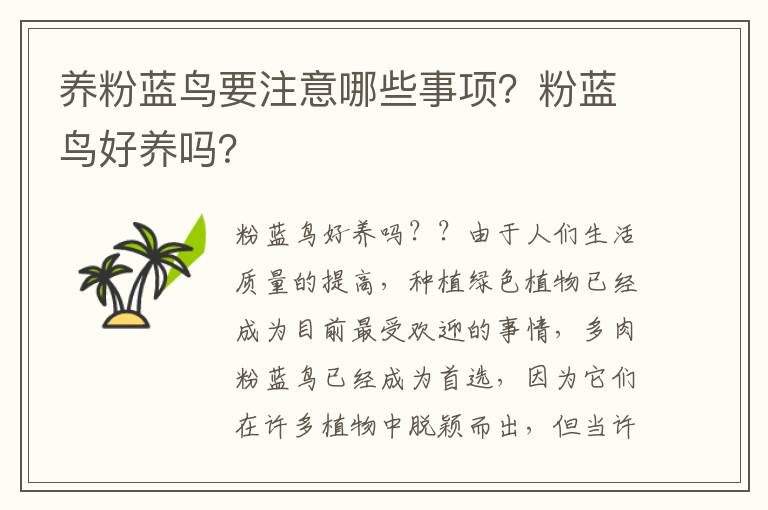 养粉蓝鸟要注意哪些事项？粉蓝鸟好养吗？