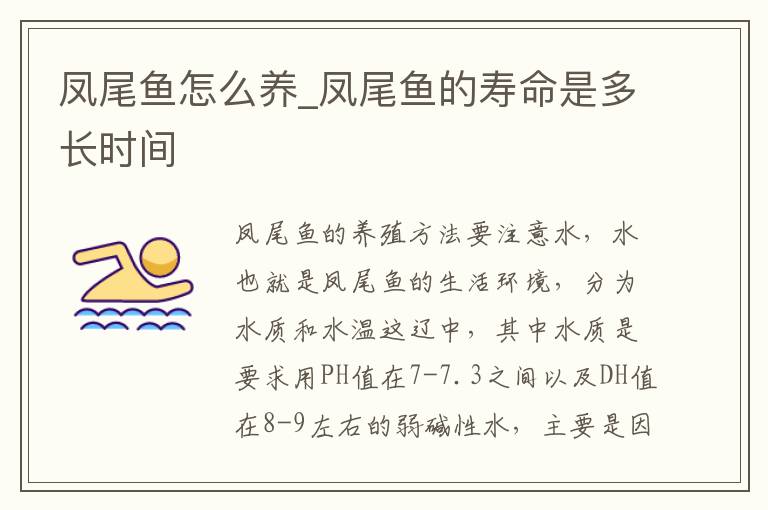 凤尾鱼怎么养_凤尾鱼的寿命是多长
