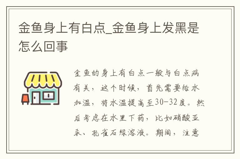 金鱼身上有白点_金鱼身上发黑是怎