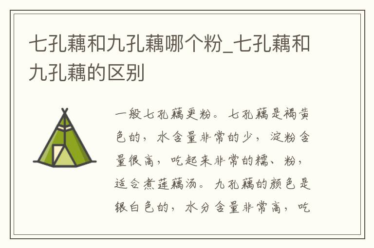 七孔藕和九孔藕哪个粉_七孔藕和九孔藕的区别