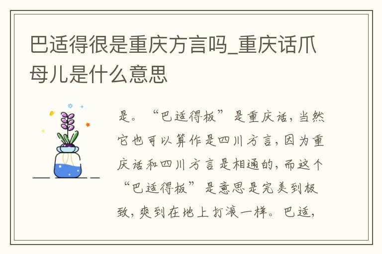 巴适得很是重庆方言吗_重庆话爪母
