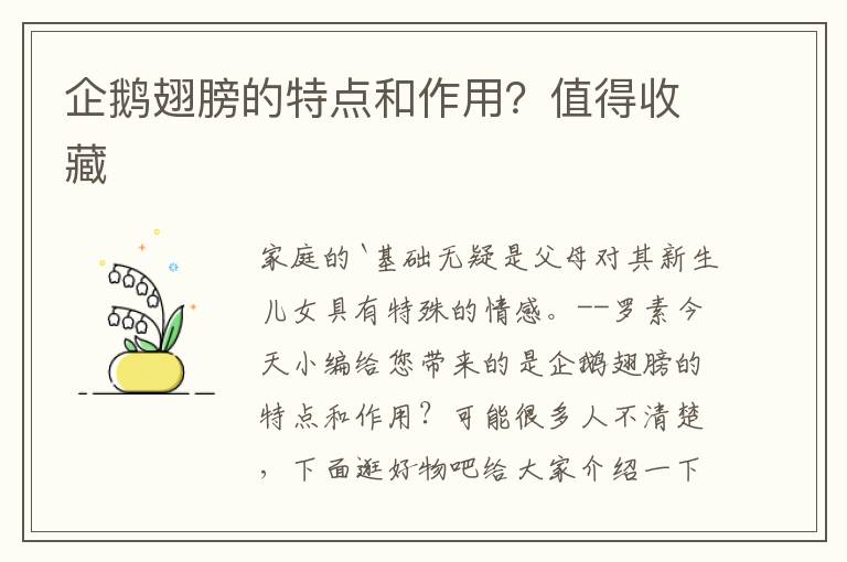 企鹅翅膀的特点和作用？值得收藏