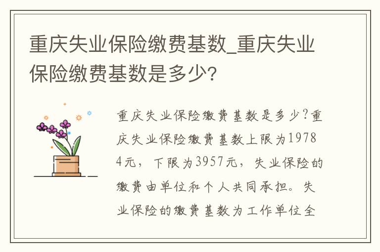 重庆失业保险缴费基数_重庆失业保
