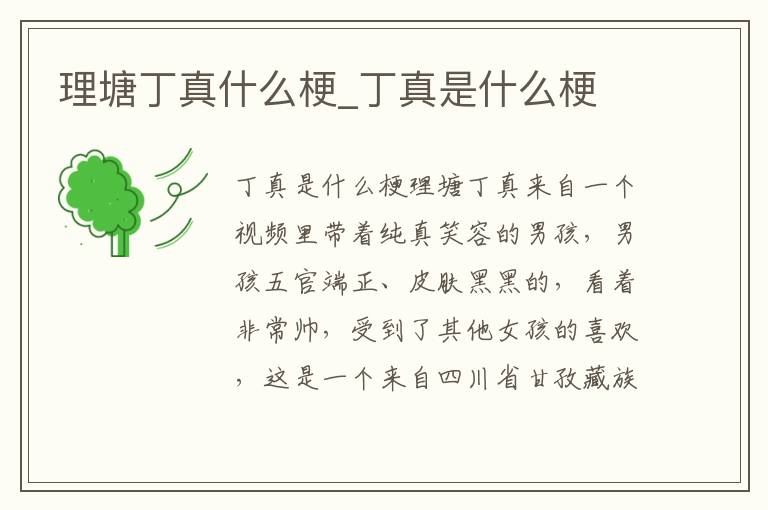 理塘丁真什么梗_丁真是什么梗