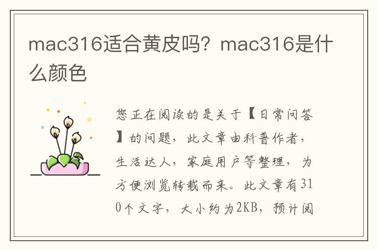 mac316适合黄皮吗？mac316是什么颜色