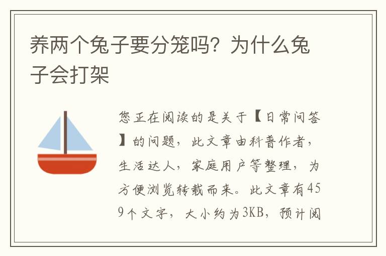 养两个兔子要分笼吗？为什么兔子会打架
