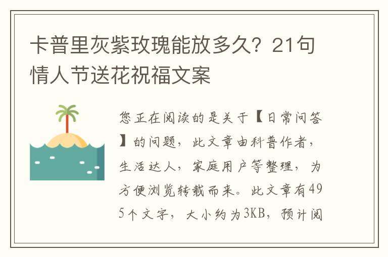 卡普里灰紫玫瑰能放多久？21句情人节送花祝福文案