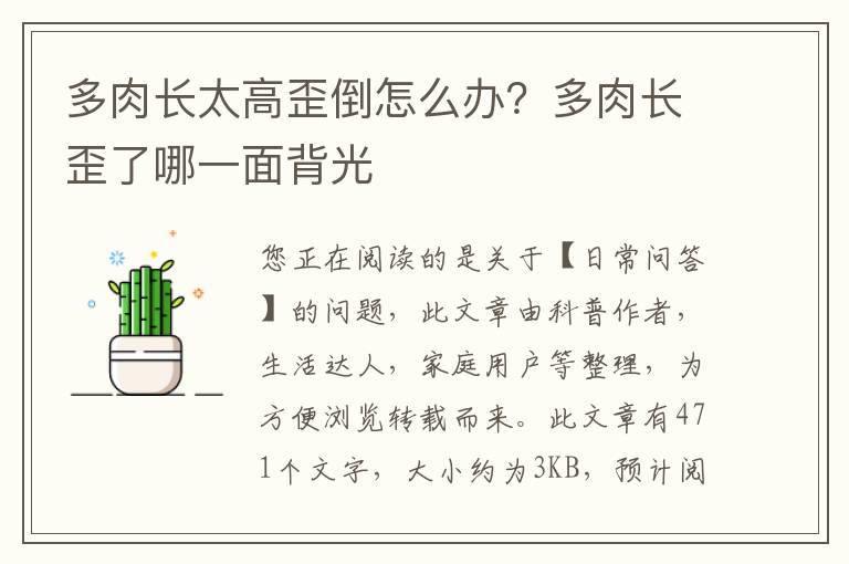 多肉长太高歪倒怎么办？多肉长歪了哪一面背光