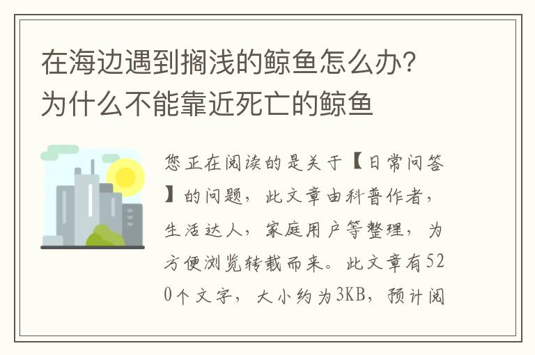 在海边遇到搁浅的鲸鱼怎么办？为什么不能靠近死亡的鲸鱼