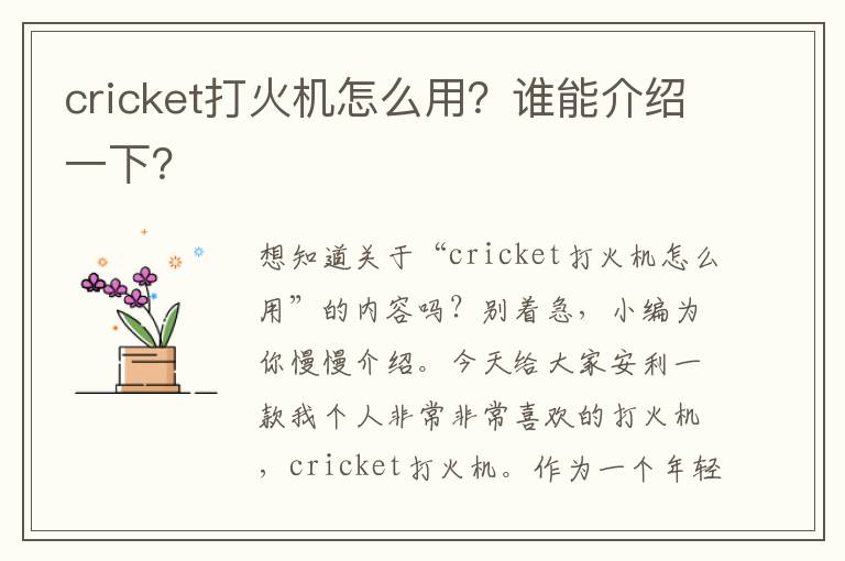 cricket打火机怎么用？谁能介绍一下？