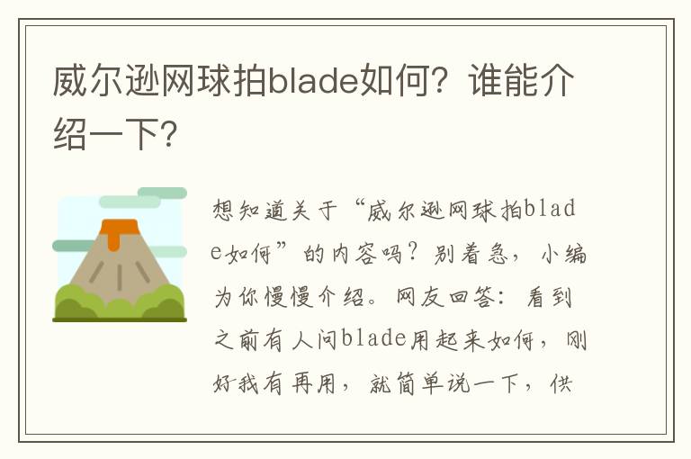 威尔逊网球拍blade如何？谁能介绍一下？
