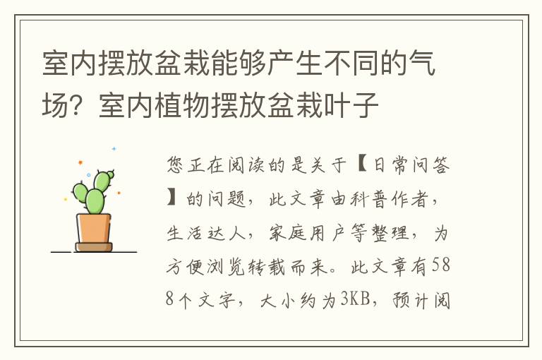 室内摆放盆栽能够产生不同的气场？室内植物摆放盆栽叶子
