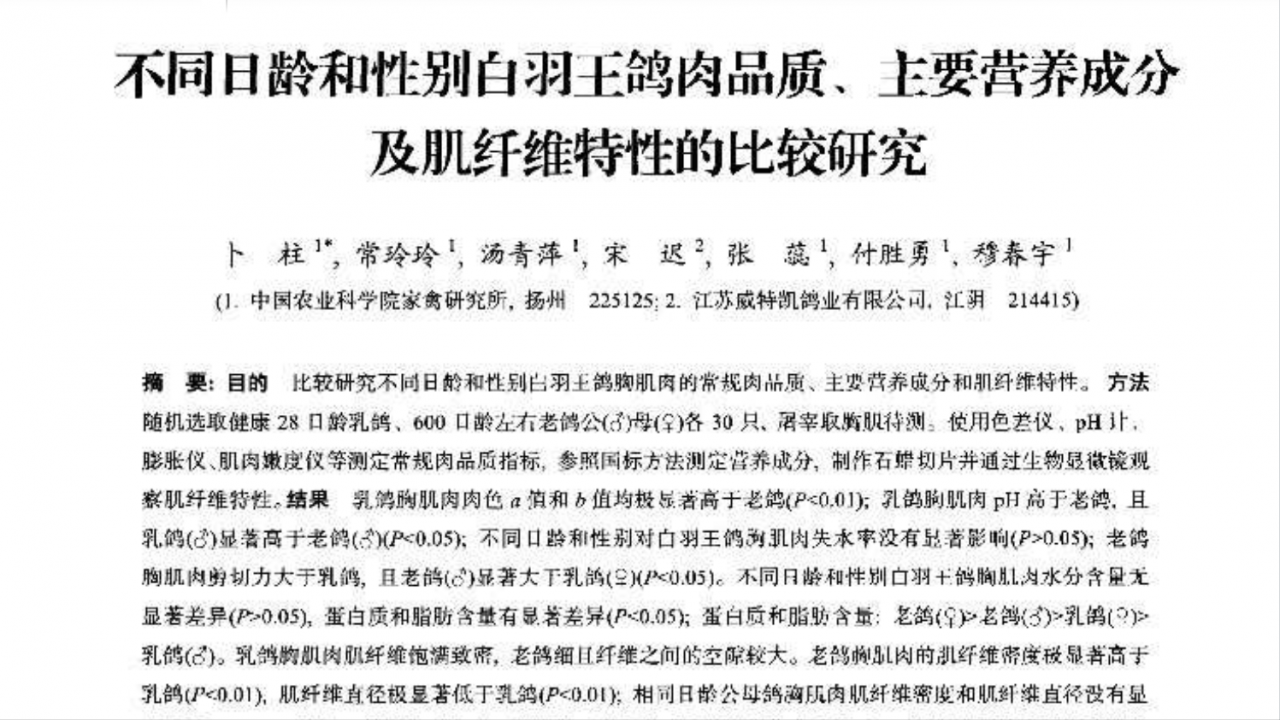 鸽子汤怎么炖好喝又营养（最营养最好吃煲鸽子汤的做法）