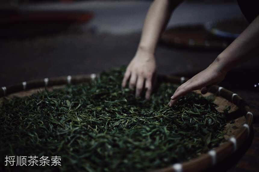 优质古树茶的4大必备条件