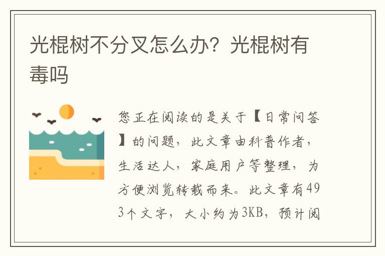 光棍树不分叉怎么办？光棍树有毒吗