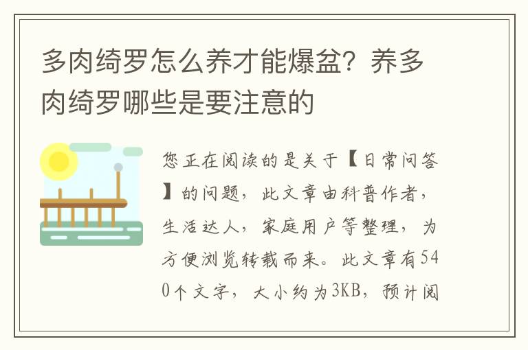 多肉绮罗怎么养才能爆盆？养多肉绮罗哪些是要注意的