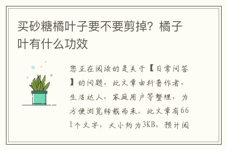 买砂糖橘叶子要不要剪掉？橘子叶有什么功效