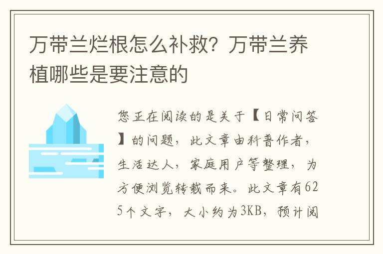 万带兰烂根怎么补救？万带兰养植哪些是要注意的