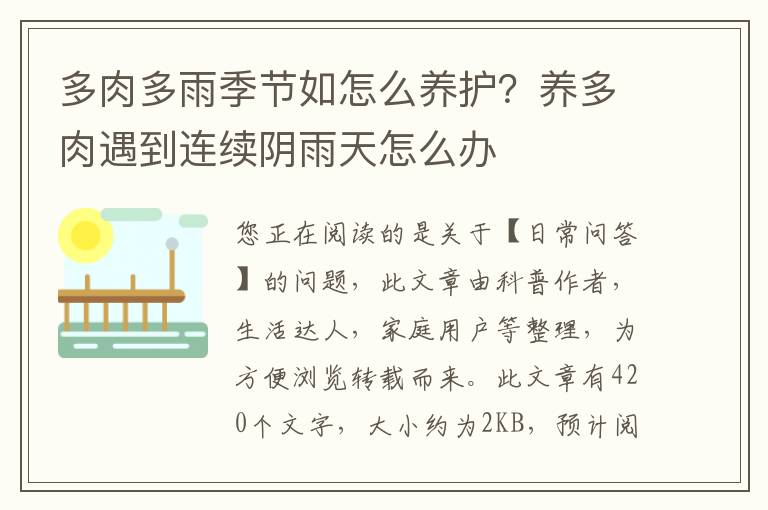 多肉多雨季节如怎么养护？养多肉遇到连续阴雨天怎么办