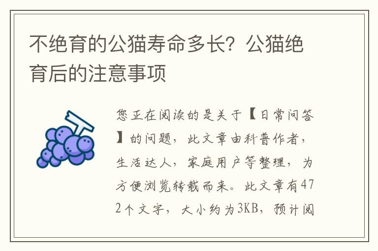 不绝育的公猫寿命多长？公猫绝育后的注意事项