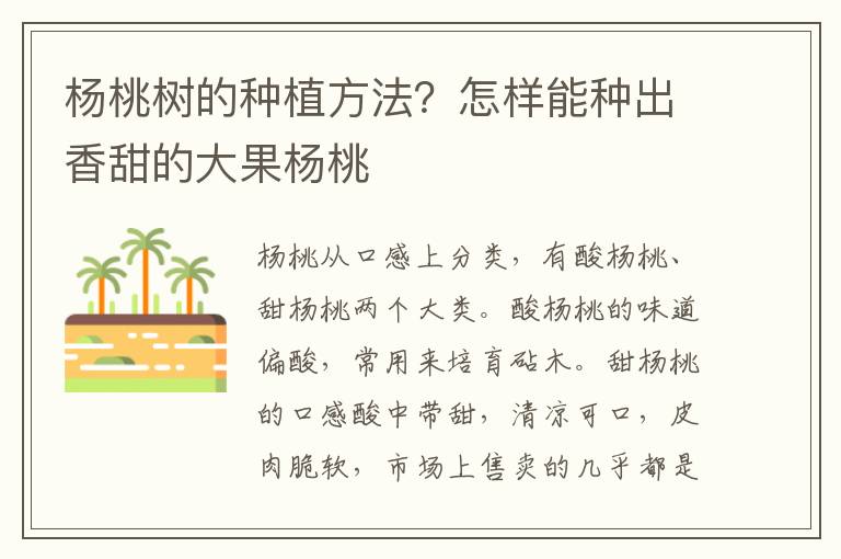 杨桃树的种植方法？怎样能种出香甜的大果杨桃
