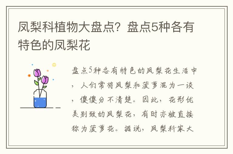 凤梨科植物大盘点？盘点5种各有特色的凤梨花