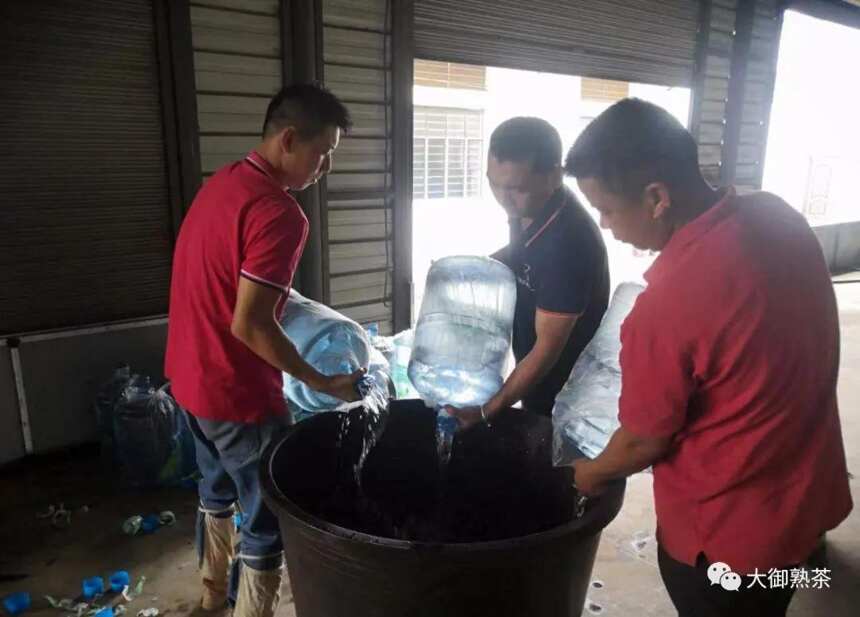 头春古树纯料熟茶是个什么味？古树熟茶的口感特点