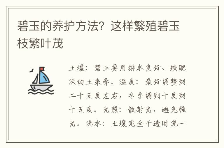 碧玉的养护方法？这样繁殖碧玉枝繁叶茂