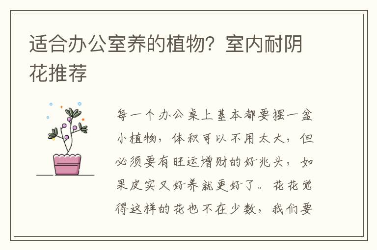 适合办公室养的植物？室内耐阴花推荐