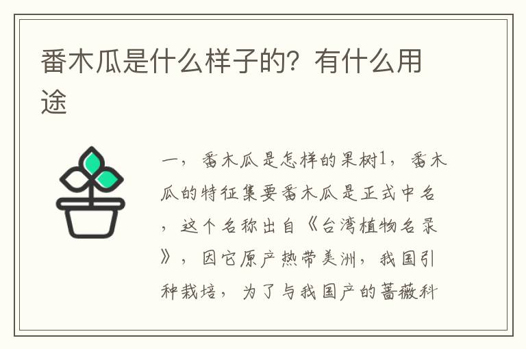 番木瓜是什么样子的？有什么用途