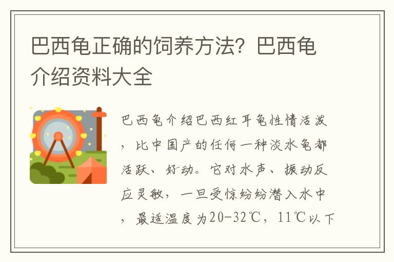 巴西龟正确的饲养方法？巴西龟介绍资