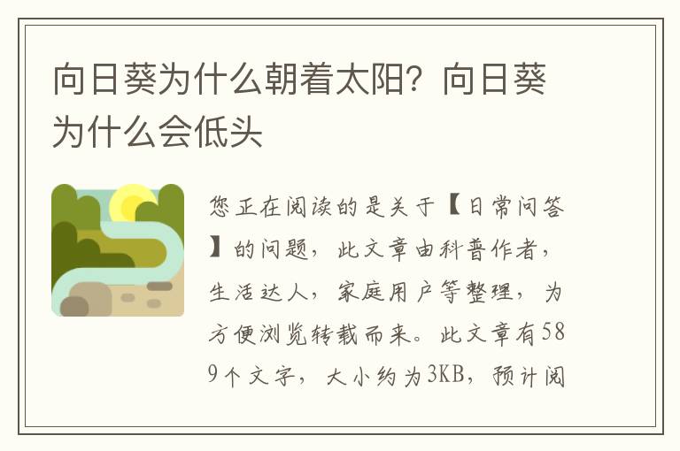 向日葵为什么朝着太阳？向日葵为什么会低头