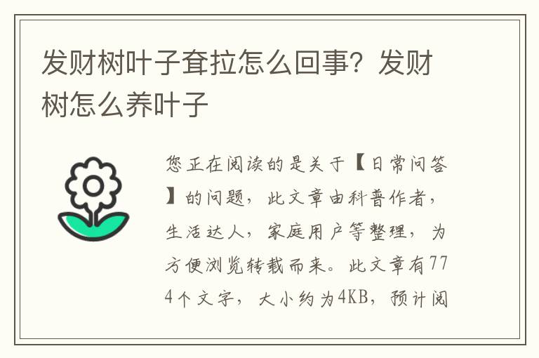 发财树叶子耷拉怎么回事？发财树怎么养叶子