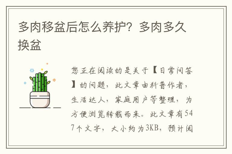 多肉移盆后怎么养护？多肉多久换盆